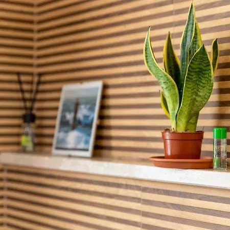 Boho By The Apartamento *